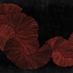 Fototapet Diving Moment, Red, Coordonne - Img 2