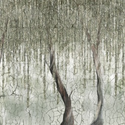 Fototapet, Dream Forest, Rebel Walls - Img 2