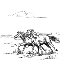 Fototapet, Horses Herd Grand, Black, Rebel Walls - Img 5