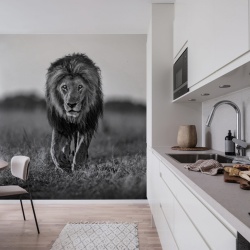 Fototapet, Lion King, Rebel Walls