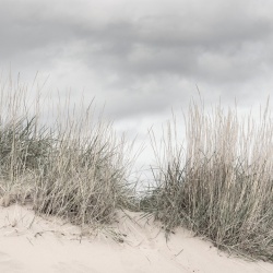 Fototapet, Pale Shore, Rebel Walls - Img 2