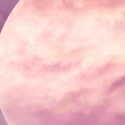 Fototapet, Pink Moon, Rebel Walls - Img 6