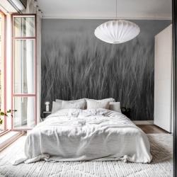 Fototapet, Rye Field, Black & White, Rebel Walls