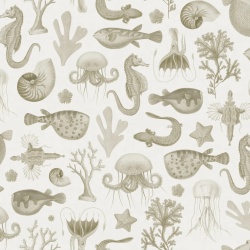 Fototapet, Sea Life, Sand, Rebel Walls - Img 5