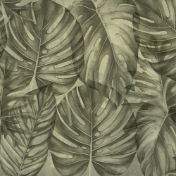 Fototapet Sepia philodendron, VLAdiLA - Img 2