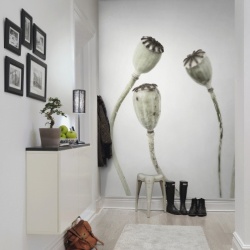 Fototapet, Simple Seedpod, Rebel Walls - Img 4