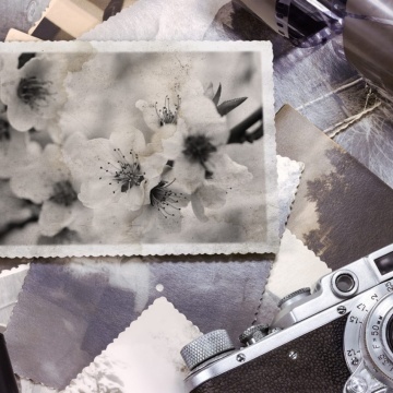 Fototapet, Snapshot Memories, Rebel Walls - Img 2