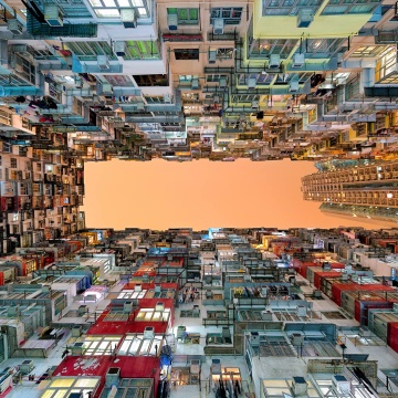 Fototapet, Upside Down, Rebel Walls - Img 2