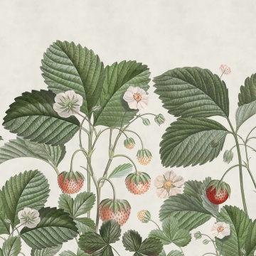 Fototapet, Wild Strawberries, Green, Rebel Walls - Img 2