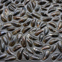 Panou decorativ 3D, Scoici, Dutch Dyke Black, 100x100 cm