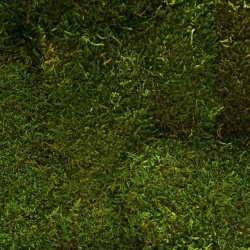Panou decorativ din muschi, Staloluokta Flatmoss Moss Green - Img 5