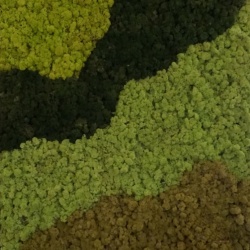 Panou decorativ din muschi, Torvtak Icemoss Spring Green - Img 6
