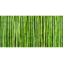 Tapet Bamboo, Rebel Walls - Img 2