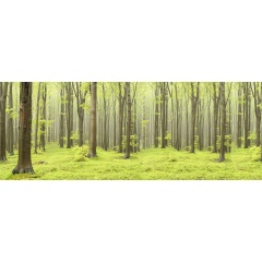 Tapet Deciduous Forest, Rebel Walls - Img 3