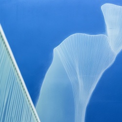 Fototapet Abstract Profond Atoll Rêve PA104