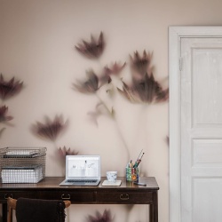 Fototapet, Astrantia, Pink, Rebel Walls