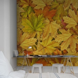 Fototapet, Autumn Leaves, Rebel Walls - Img 4