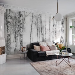 Fototapet, Birch Trees, Rebel Walls