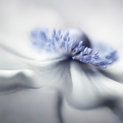 Fototapet, Blue Pastil, Rebel Walls - Img 4
