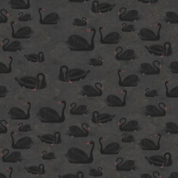 Fototapet, Cygne, Noir, Rebel Walls - Img 2