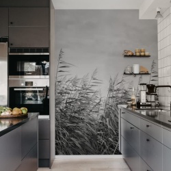 Fototapet, Dreamy Reed, Black & White, Rebel Walls