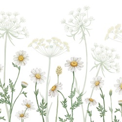 Fototapet Field of Daisies, Kikki Belle - Img 2