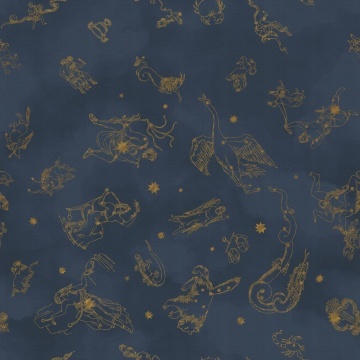 Fototapet lavabil, Constellations 9561W - Img 3