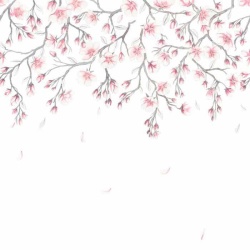 Fototapet lavabil, Sakura Mural Pink, Sandberg - Img 2