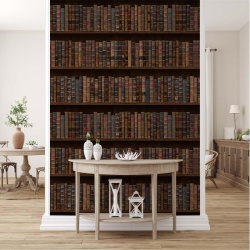 Fototapet Library Style, VLAdiLA