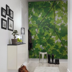 Fototapet, Maple Leaves, Rebel Walls
