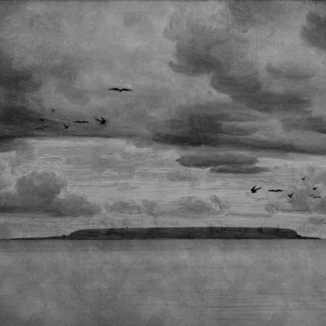 Fototapet, Seabirds, Black & White, Rebel Walls - Img 2