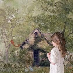 Fototapet Tales of the Forest, VLAdiLA