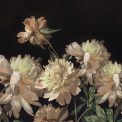 Fototapet, Vintage Peony, Yellow, Rebel Walls - Img 2