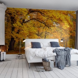Fototapet, Yellow Leafy Trees, Rebel Walls - Img 3