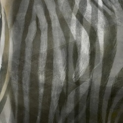 Fototapet Zebra Interrupted, VLAdiLA - Img 3