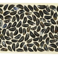 Panou decorativ 3D, Scoici, Dutch Dyke White, 100x100 cm - Img 2