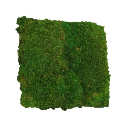 Panou decorativ din muschi, Staloluokta Flatmoss Moss Green - Img 2
