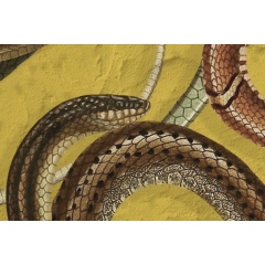 Tapet Snakey, Yellow, Rebel Walls - Img 4