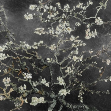 Fototapet, Almond Blossom, Black, Rebel Walls - Img 2