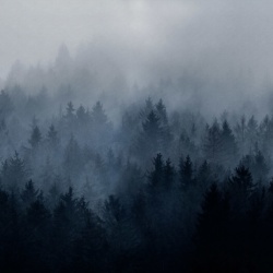 Fototapet, Cloudy Forest, Blue, Rebel Walls - Img 2