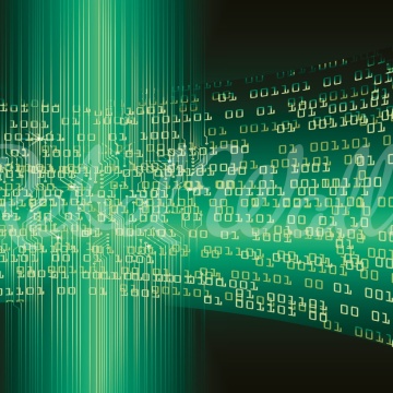 Fototapet, Code, Green, Rebel Walls - Img 2
