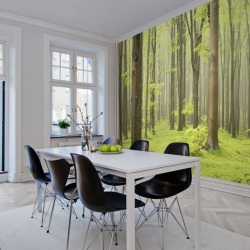 Fototapet, Deciduous Forest, Rebel Walls