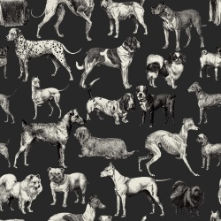 Fototapet, Dogs, Harlequin, Rebel Walls - Img 2