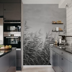 Fototapet, Dreamy Reed, Black & White, Rebel Walls