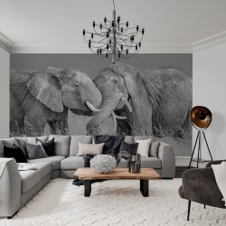 Fototapet, Elephant Hug, Rebel Walls