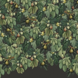 Fototapet, Fig Tree, Lush, Rebel Walls - Img 5
