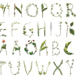 Fototapet, Floral Alphabet, Rebel Walls - Img 2