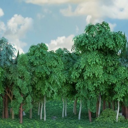 Fototapet, Gaming Woods, Summer, Rebel Walls - Img 2