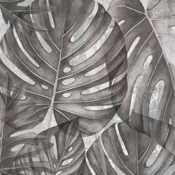 Fototapet Grey Philodendron, VLAdiLA - Img 2