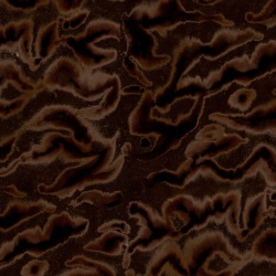 Fototapet, Guppy, Brown, Rebel Walls - Img 2